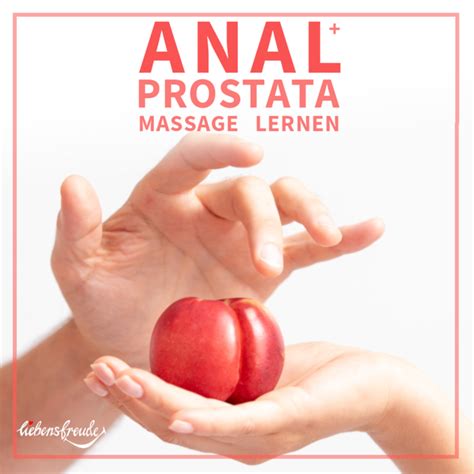Prostatamassage Sexuelle Massage Meise